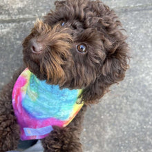Load image into Gallery viewer, Groovy Tie Dye Bandana