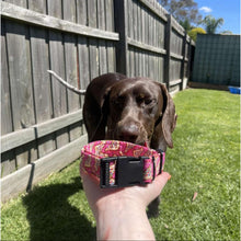 Load image into Gallery viewer, Hundreds and Thousands Dog Collar