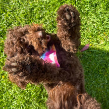 Load image into Gallery viewer, Groovy Tie Dye Bandana