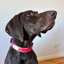 Load image into Gallery viewer, Groovy Tie Dye Dog Collar