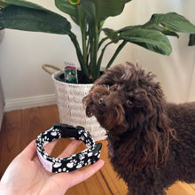 Load image into Gallery viewer, Pawty Dog Collar