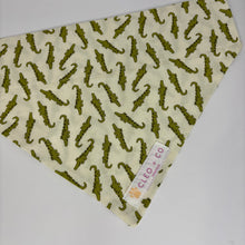 Load image into Gallery viewer, Crikey Bandana