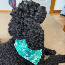 Load image into Gallery viewer, Monstera Bandana