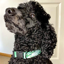 Load image into Gallery viewer, Monstera Dog Collar