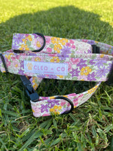 Load image into Gallery viewer, Cleo Dog Collar