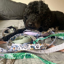 Load image into Gallery viewer, Adjustable Lead