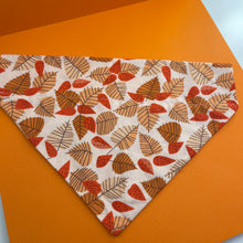 Load image into Gallery viewer, Autumn Bandana