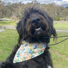 Load image into Gallery viewer, Spring Bandana