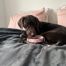Load image into Gallery viewer, Cleo Dog Collar
