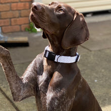 Load image into Gallery viewer, White Dot Dog Collar