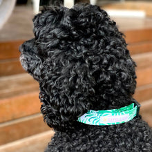 Load image into Gallery viewer, Monstera Dog Collar