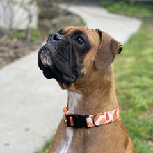 Load image into Gallery viewer, Autumn Dog Collar