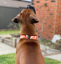 Load image into Gallery viewer, Autumn Dog Collar