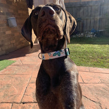 Load image into Gallery viewer, Spring Dog Collar