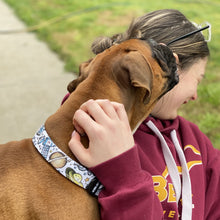 Load image into Gallery viewer, Gravity Dog Collar