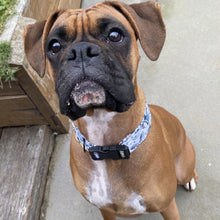 Load image into Gallery viewer, Gravity Dog Collar