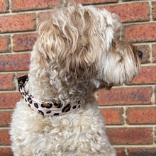 Load image into Gallery viewer, Leopard Dog Collar