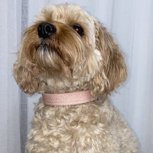 Load image into Gallery viewer, Dusty Dot Dog Collar