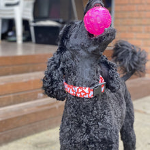 Load image into Gallery viewer, Valentine Dog Collar