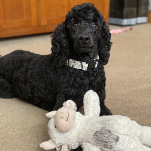 Load image into Gallery viewer, Moo Moo Dog Collar