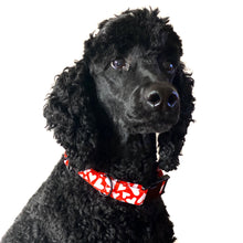 Load image into Gallery viewer, Valentine Dog Collar