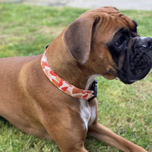 Load image into Gallery viewer, Autumn Dog Collar