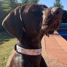 Load image into Gallery viewer, Meodow Dog Collar