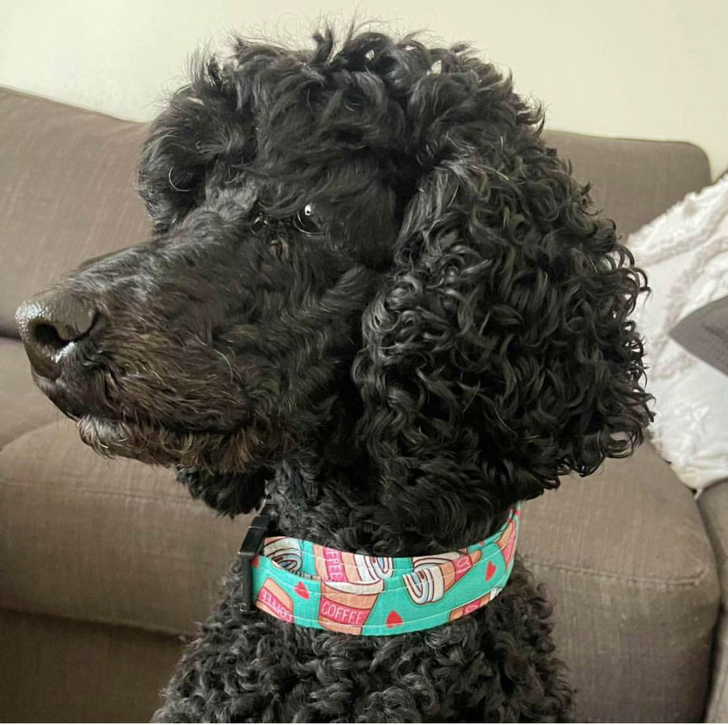 Espresso Dog Collar
