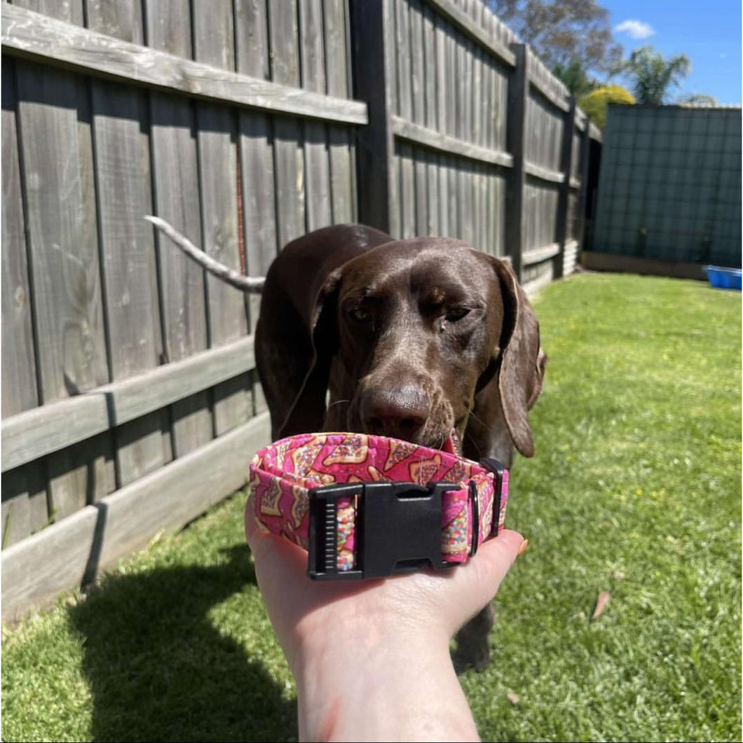 Hundreds and Thousands Dog Collar