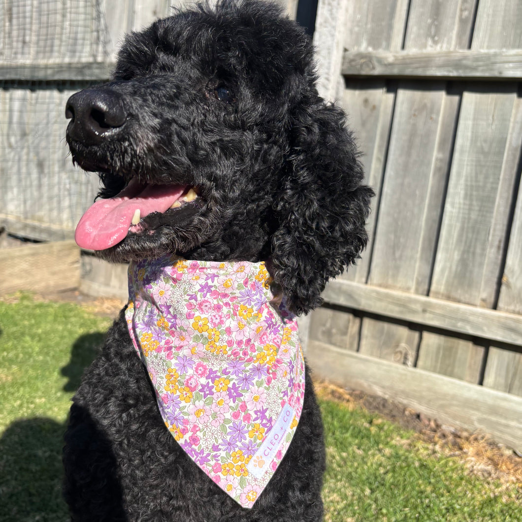 Cleo Bandana