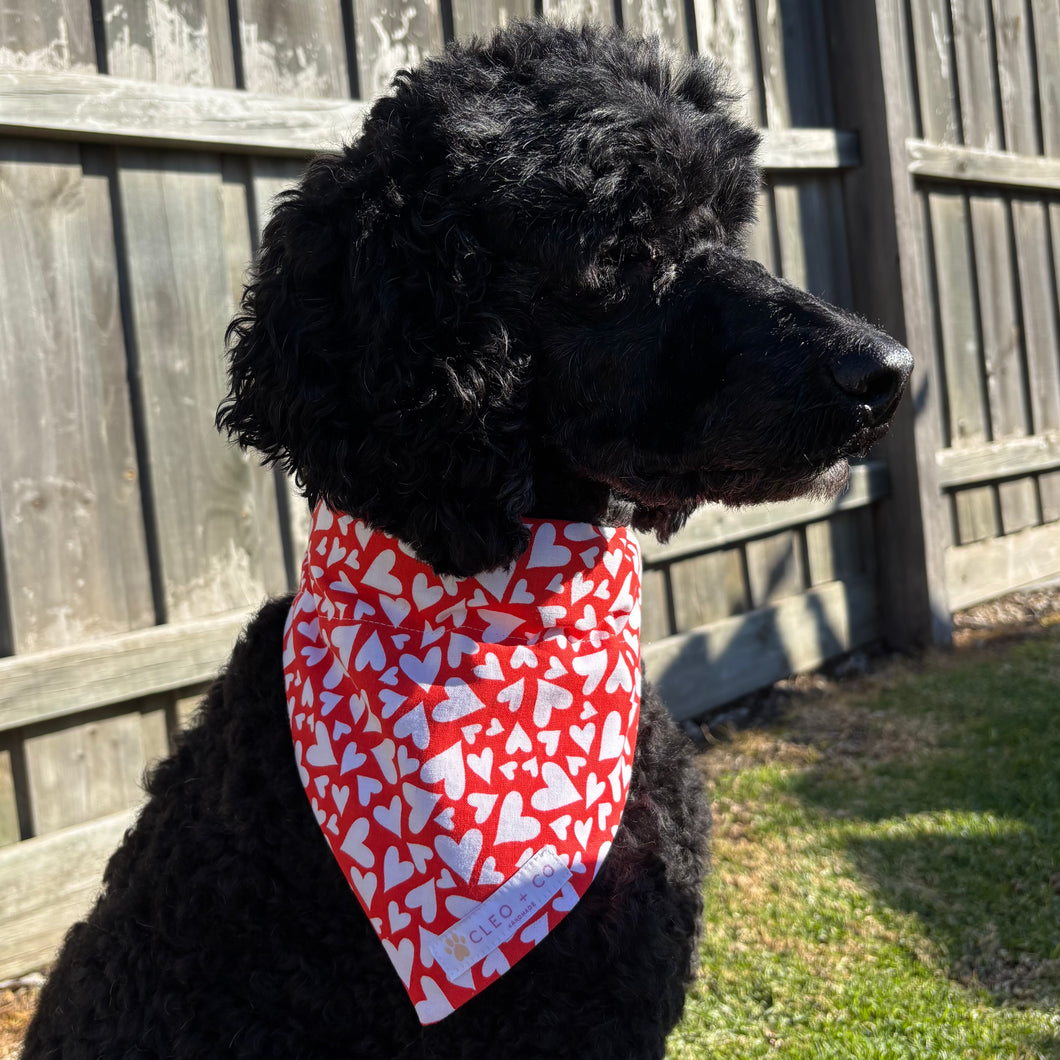 Valentine Bandana