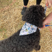 Load image into Gallery viewer, Gravity Bandana
