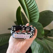 Load image into Gallery viewer, Pawty Dog Collar
