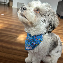 Load image into Gallery viewer, Blue Bones Bandana
