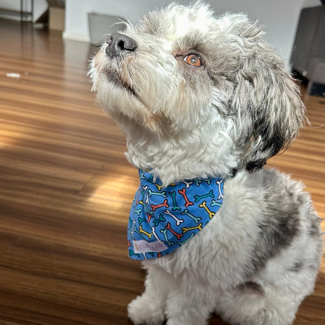 Blue Bones Bandana