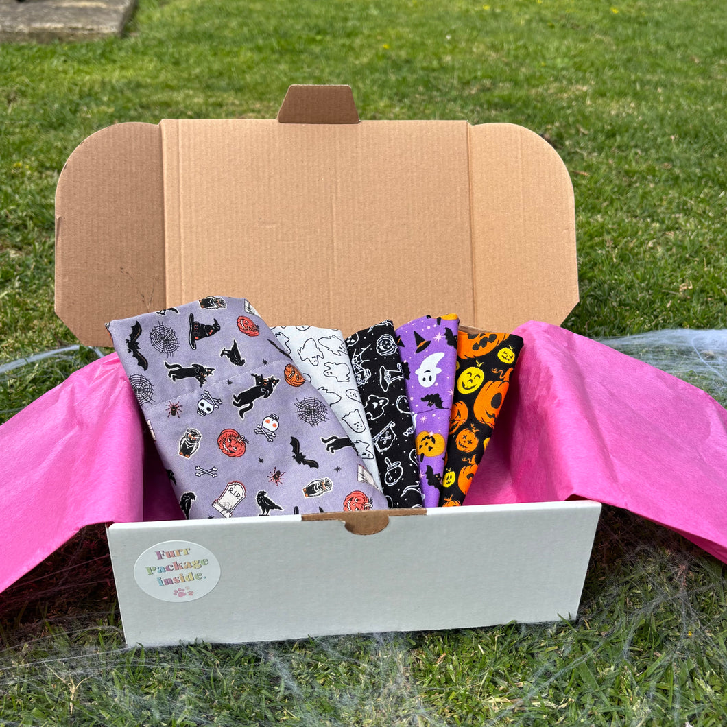 Spooky Bandana Bundle