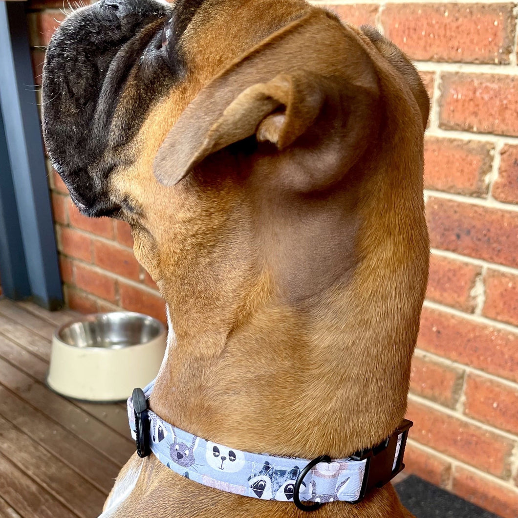 Forest Friends Dog Collar