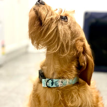 Load image into Gallery viewer, Chomp Dog Collar
