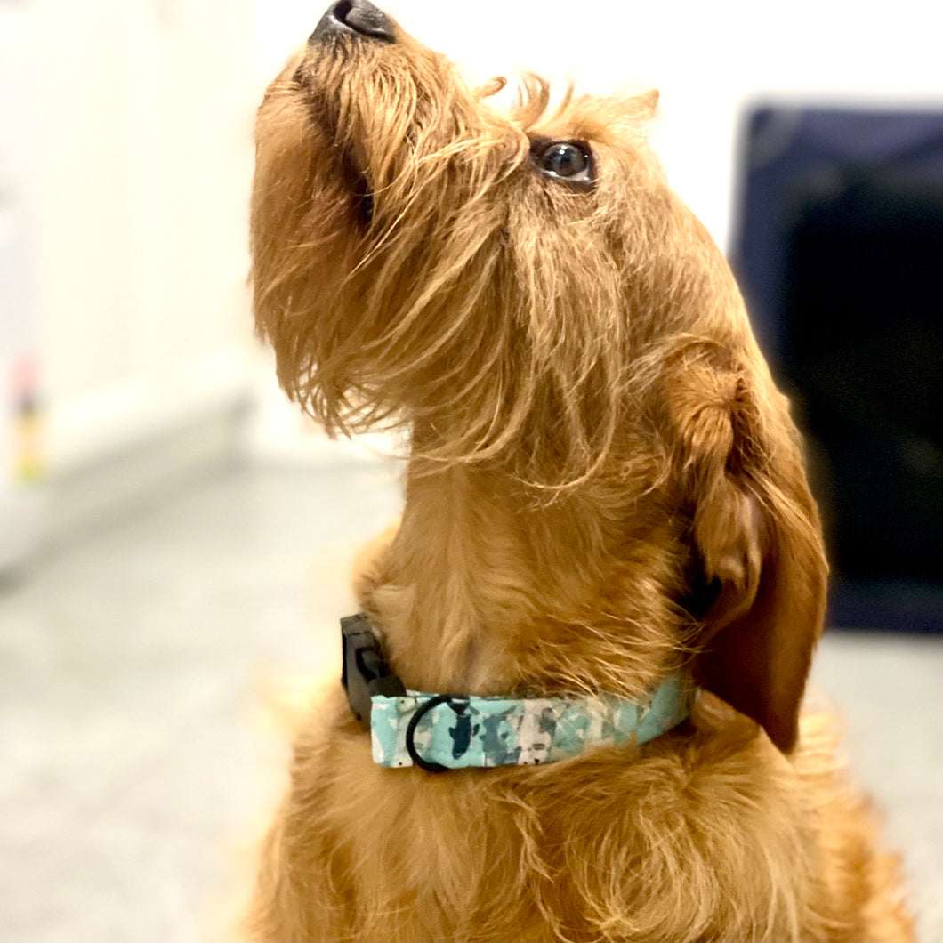 Chomp Dog Collar