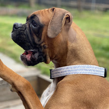 Load image into Gallery viewer, Tears Dog Collar
