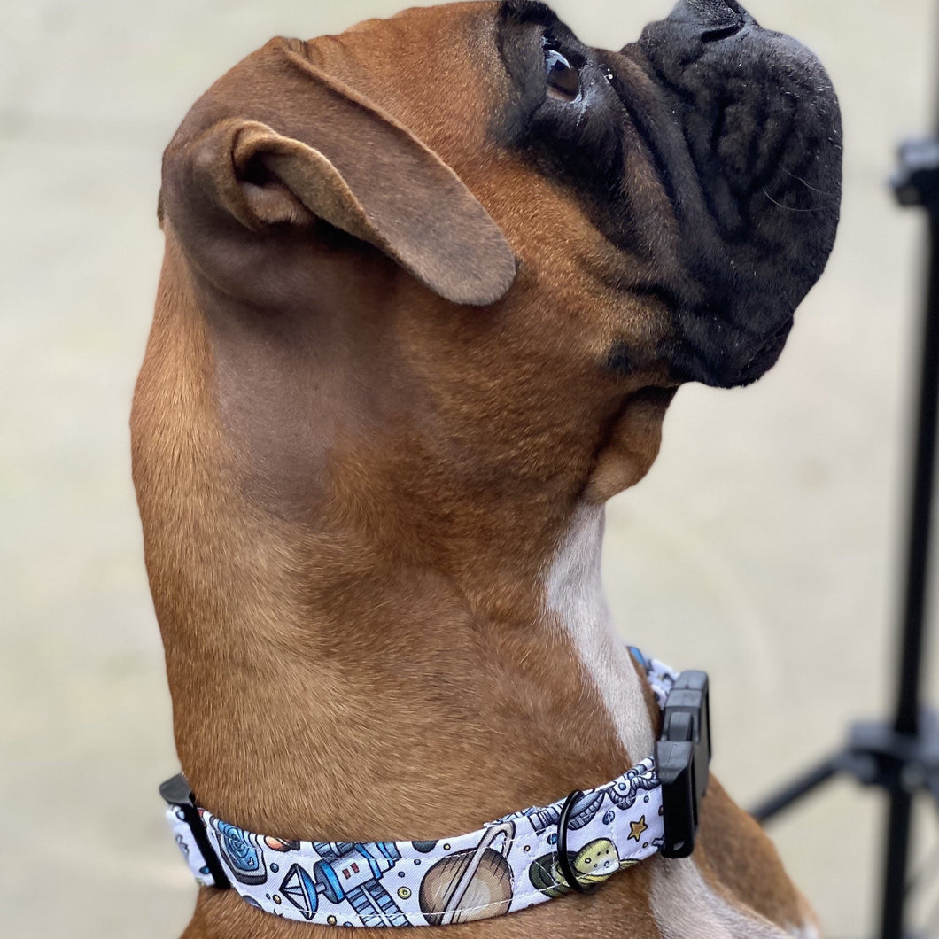 Gravity Dog Collar