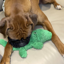 Load image into Gallery viewer, Crikey Dog Collar
