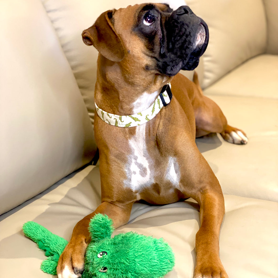 Crikey Dog Collar