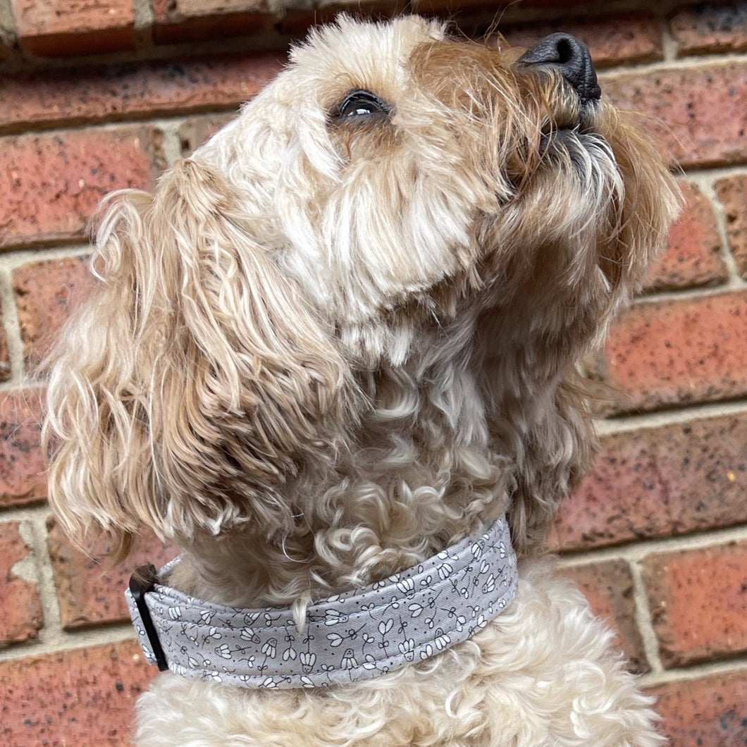 Weeping Daisy Collar