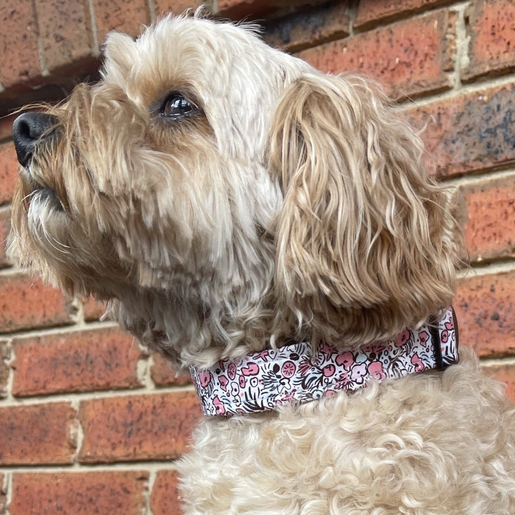 Pink Sea Dog Collar