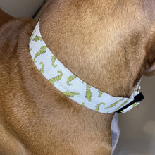 Load image into Gallery viewer, Crikey Dog Collar
